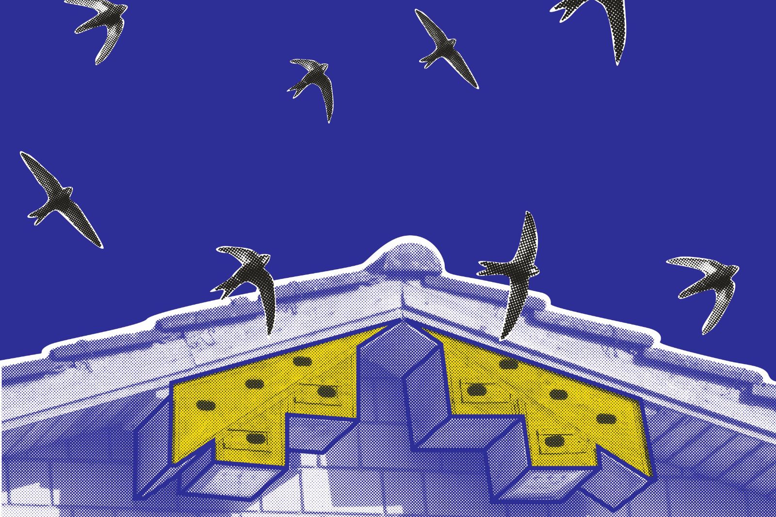 Header Image
